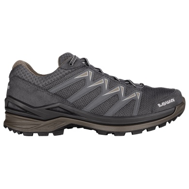 Lowa Hiking-Travel Shoes Innox Pro Low GTX (All-Terrain, Synthetic/Textile, waterproof) graphite/stone Men